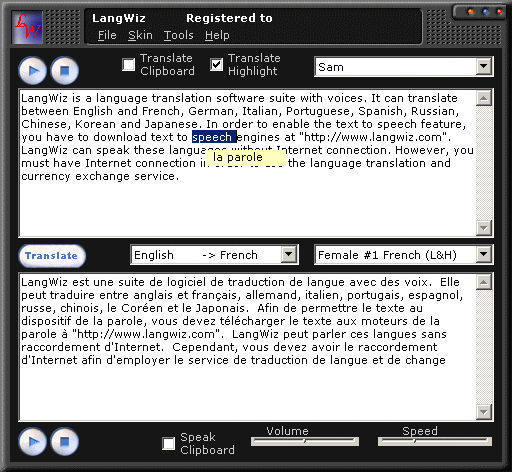 LangWiz Screenshot